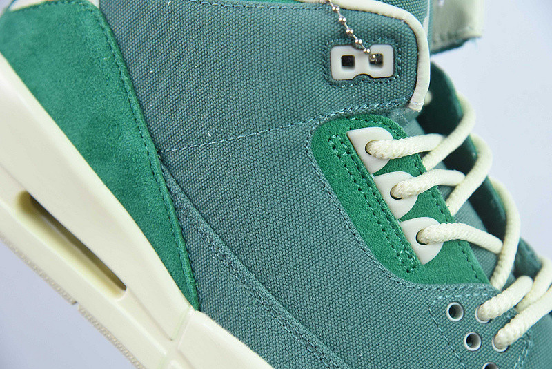 nina Ch*el abney x air jordan 3 