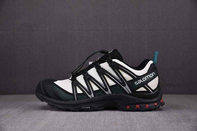 salomon xa pro 3d