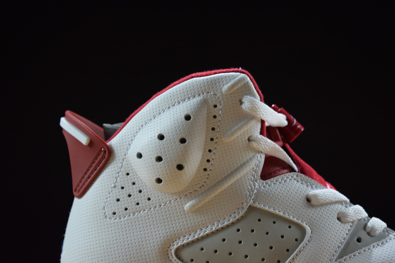 air jordan 6 retro "alternate" 384664-113