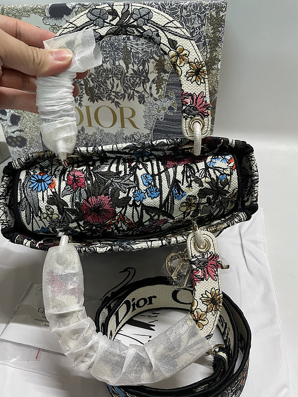 DIor BAG